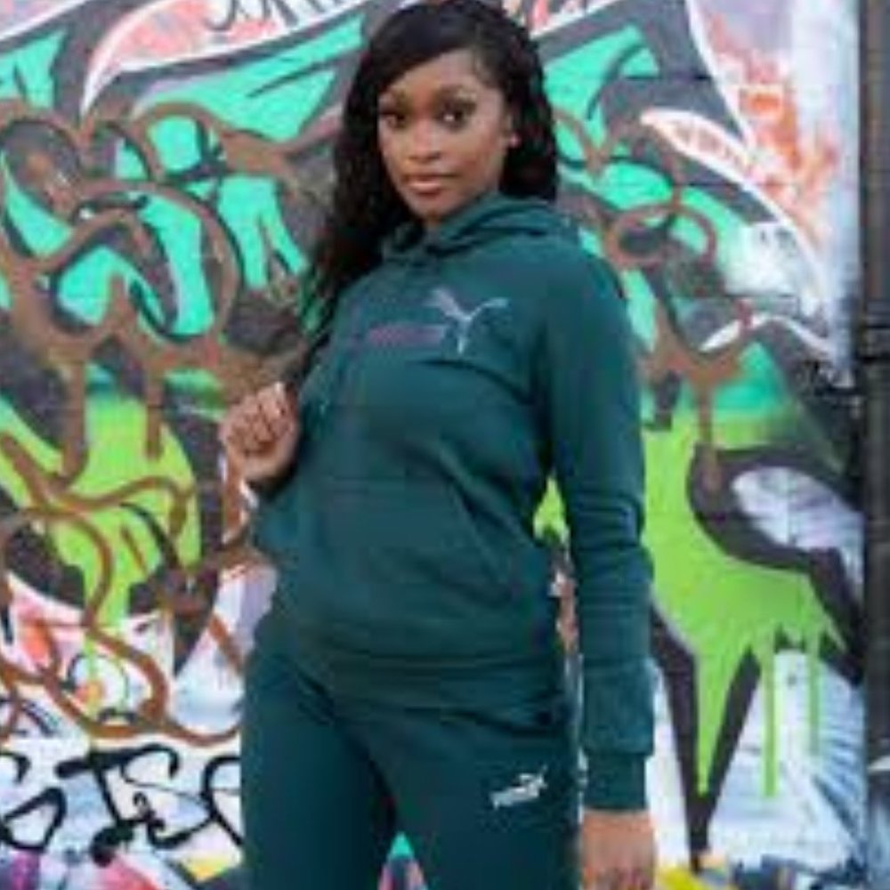 Puma Essential Big Logo Womens Hoodie. Brand New. Womens Size: Small